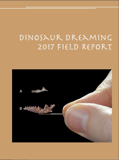 DD2017 report cover